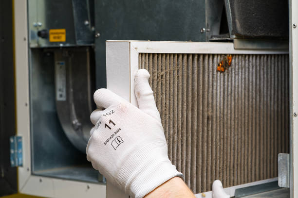 Best Affordable Duct Cleaning Services  in Hamshire, TX