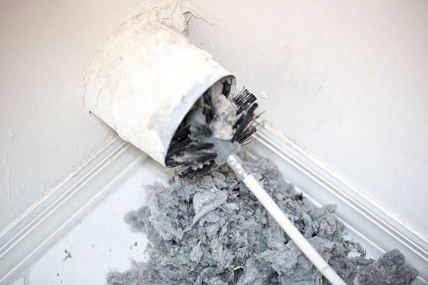 Best Air Duct Cleaning Near Me  in Hamshire, TX