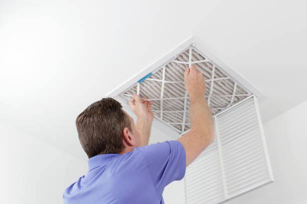 Best Ductwork Cleaning Services  in Hamshire, TX